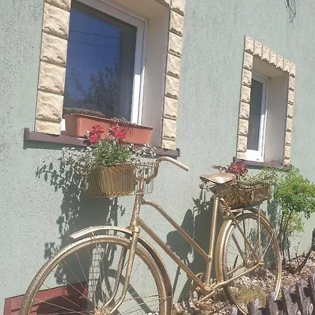 Karaiby Na Niby *
